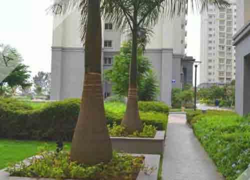 Godrej Bellahalli Road