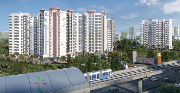 New Project Bangalore Blog