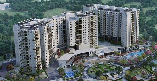 Century Liva