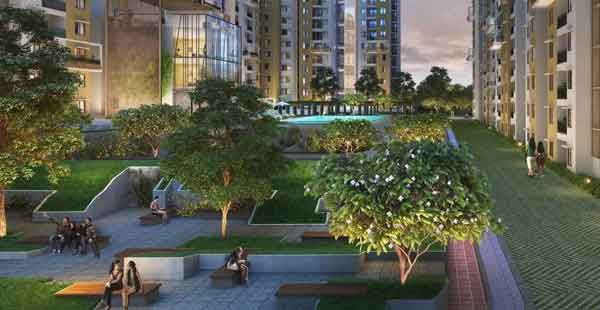 Purva Zenium