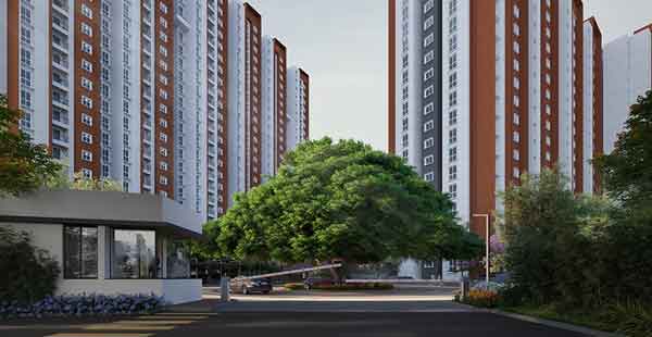 Provident Botanico