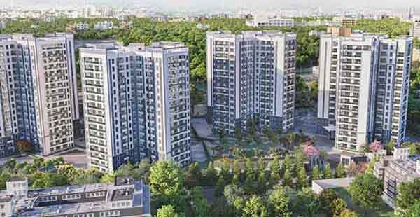 Prestige Pine Forest