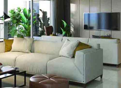 Kalyani Living Tree