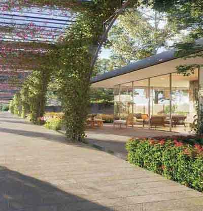 Kalyani Living Tree