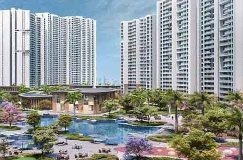 Kalyani Living Tree