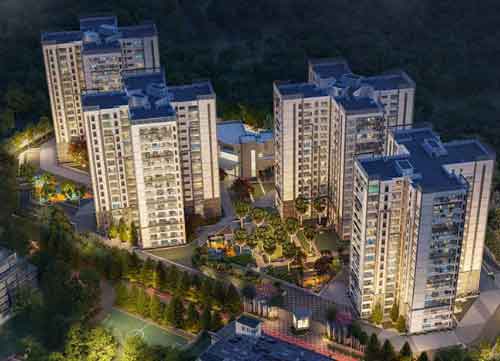 Prestige Pine Forest