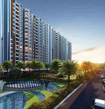 Provident Ecopolitan