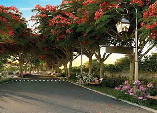 Sobha Chartered Birdsong