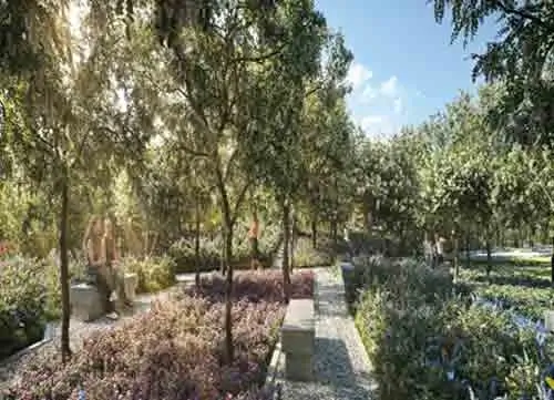 TVS Emerald Sathanur