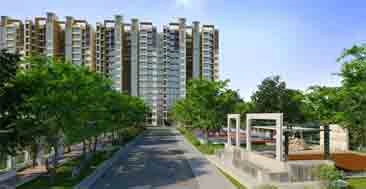 New Project Bangalore