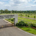 sobha charted birdsong