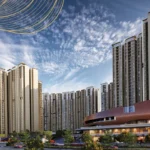 Purva KVN Northern Lights